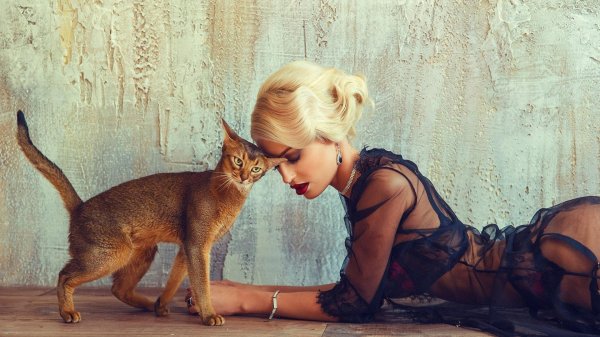 Девушка и животные