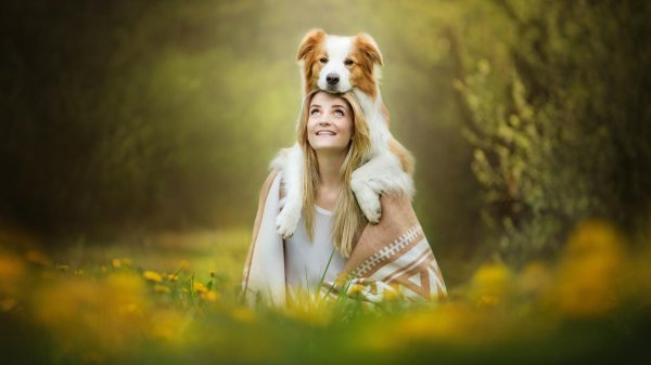 Девушка и животные