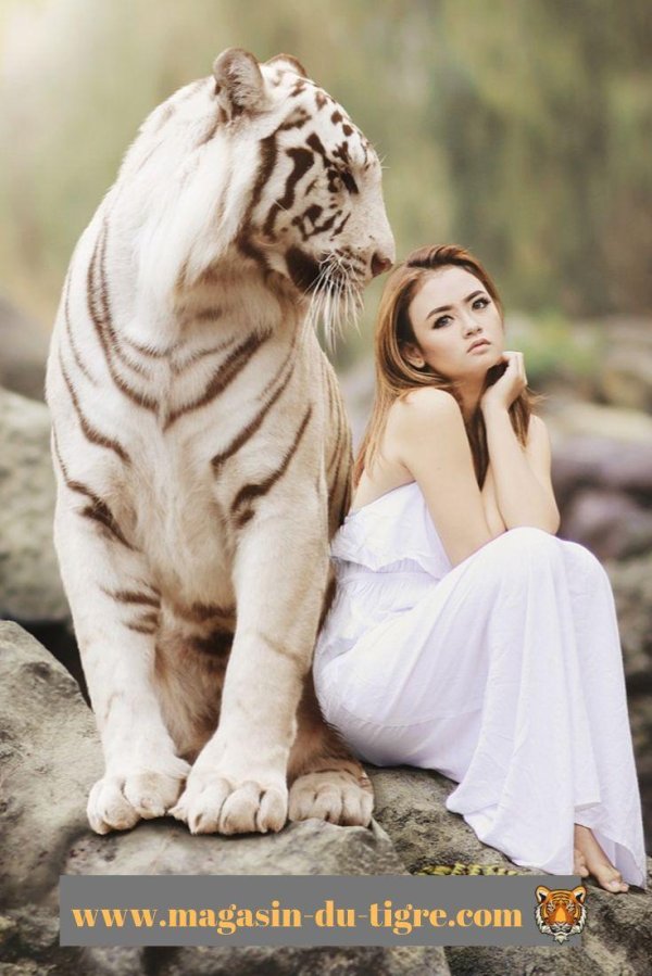 Девушка и животные