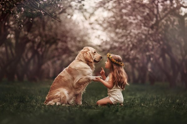 Девушка и животные