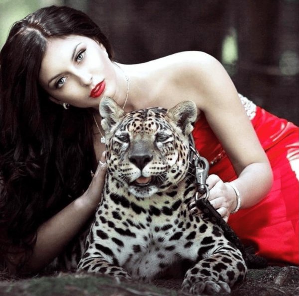 Девушка и животные