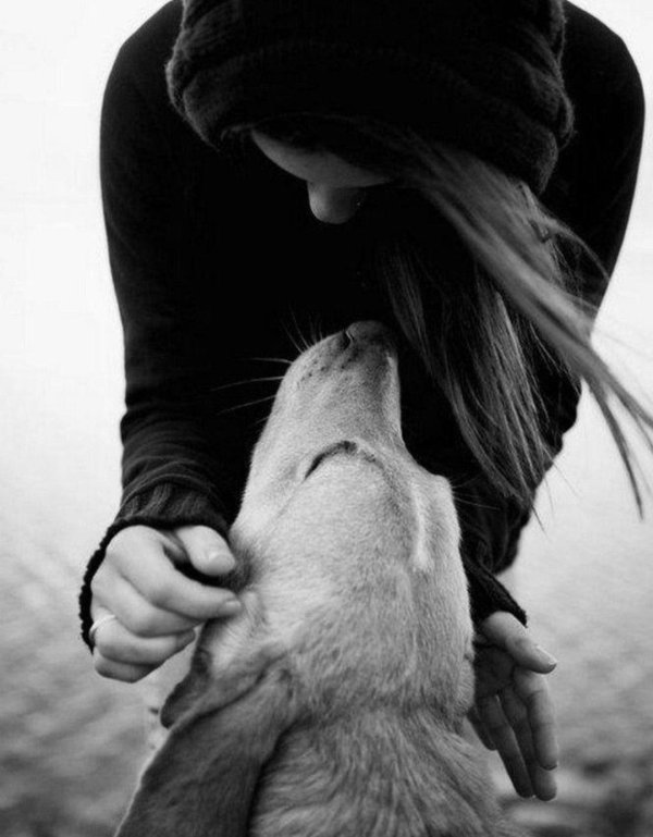 Девушка и животные