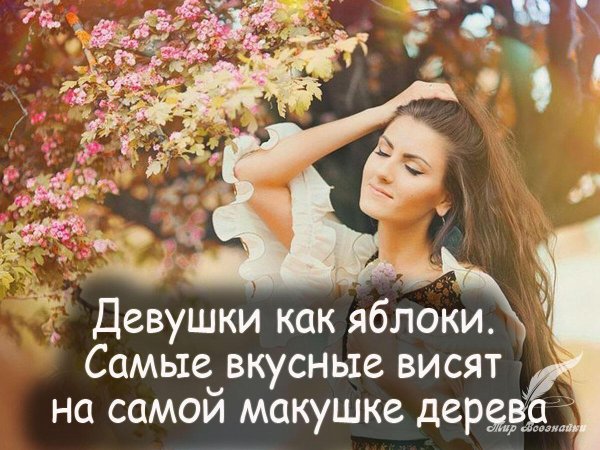 Статусы девушка