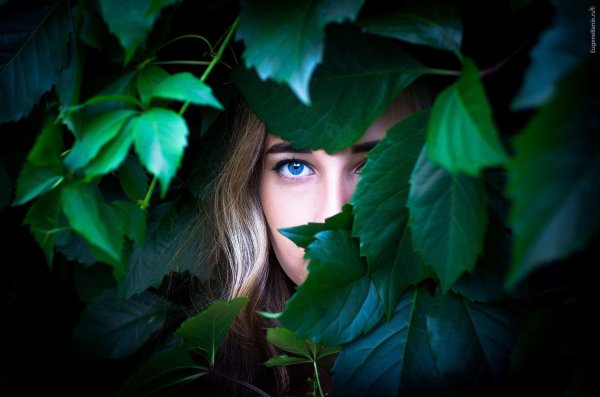 Зеленая девушка