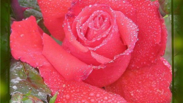 Девушка юля