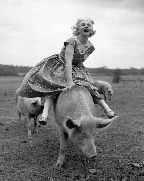 Девушка юмор