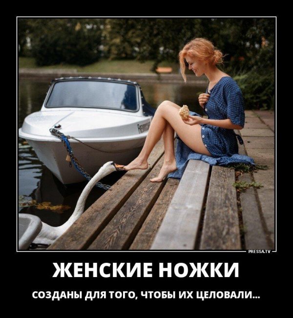 Девушка юмор