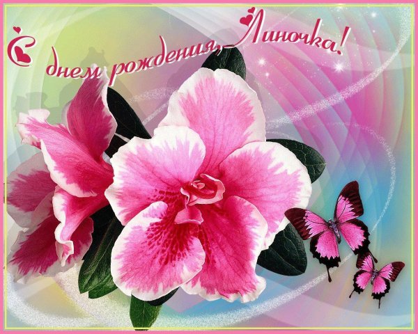 Девушка лена