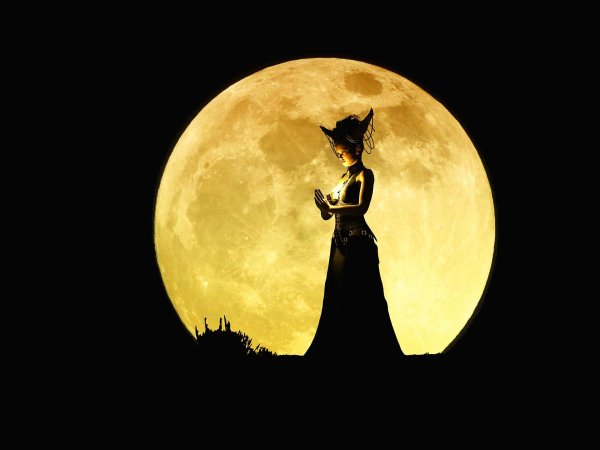 Ночная девушка