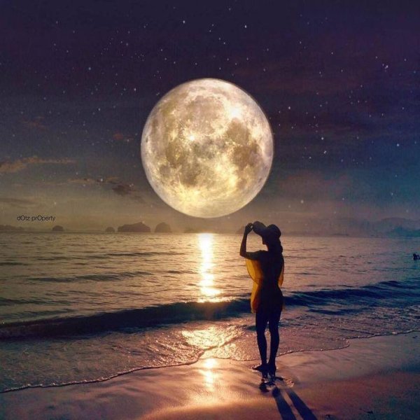 Ночная девушка