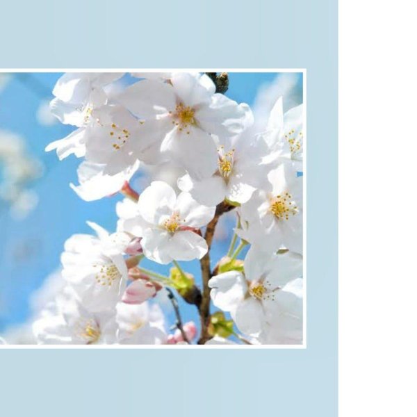 фон весенний