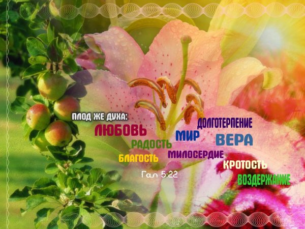 пожелание из библии