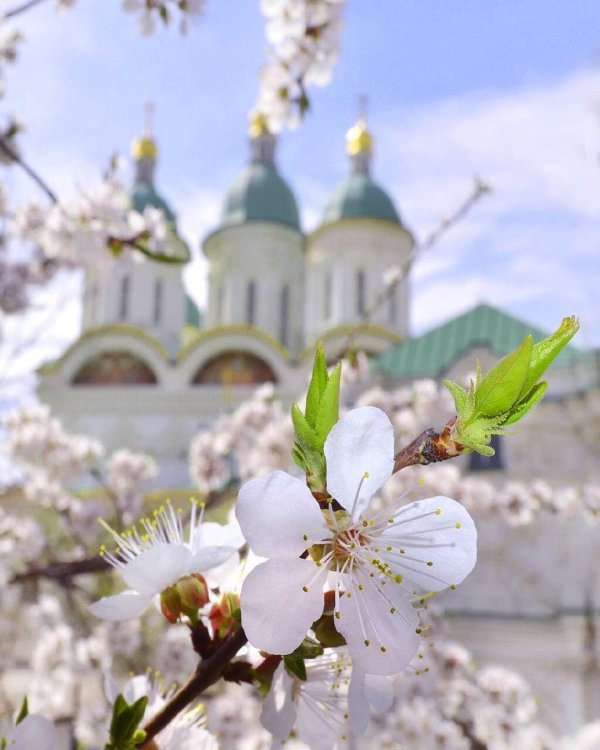 церковь весна