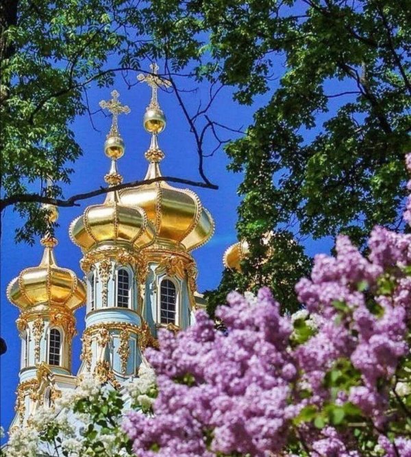 купола церкви екатерининского дворца