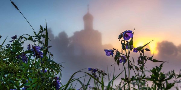 боголюбовский луг