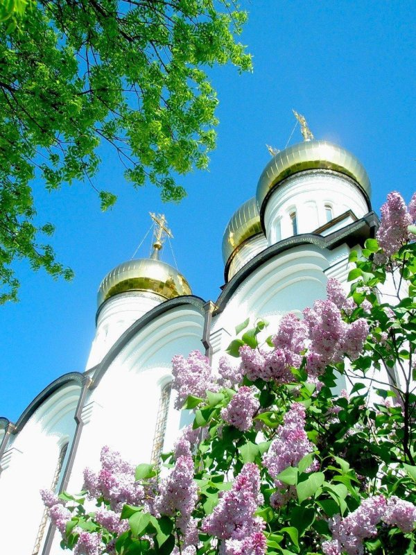 смоленского собора новодевичьего монастыря