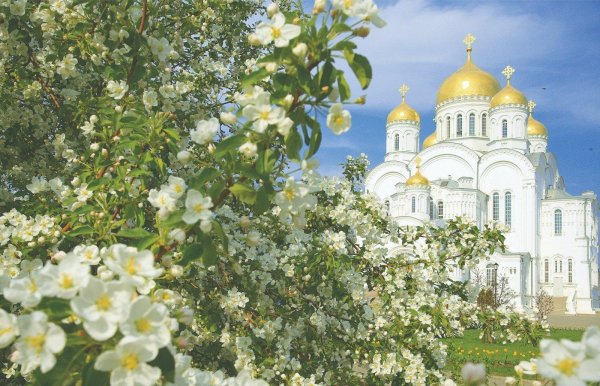 дивеево 2022 монастырь лето