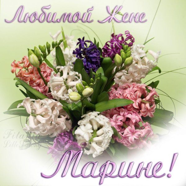 Девушка марина