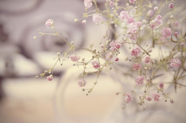 Пастельные с цветами