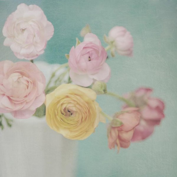 пастельные тона