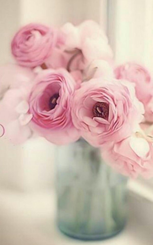 ранункулюс пинк