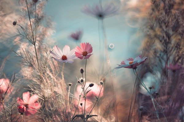 пейзаж в пастельных тонах