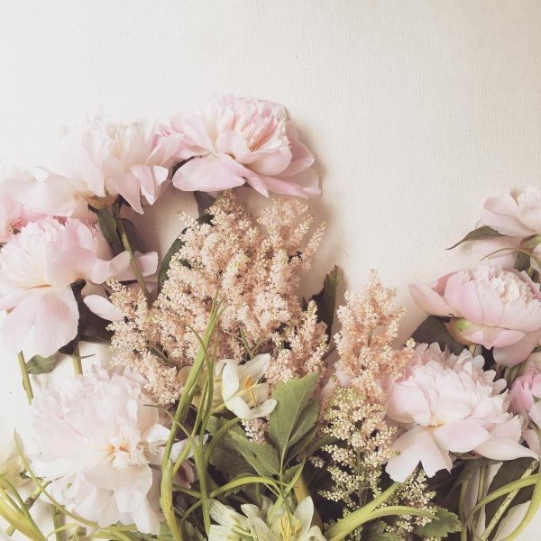 нюдовые пионы