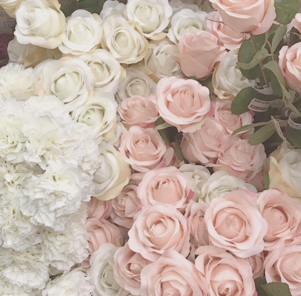 цветочные фоны