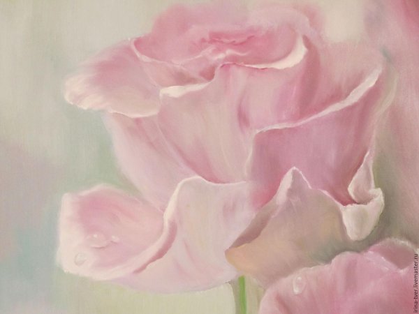 картина маслом розы