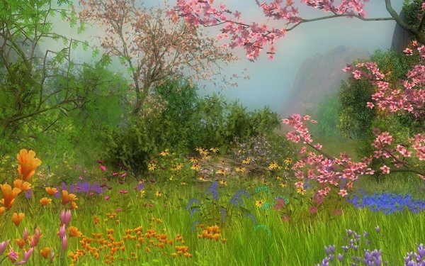 Пейзажи девушка