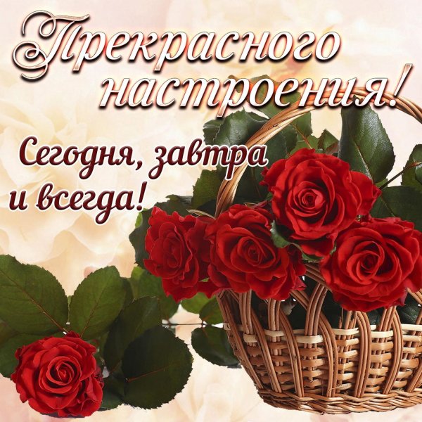 прекрасного дня и отличного настроения