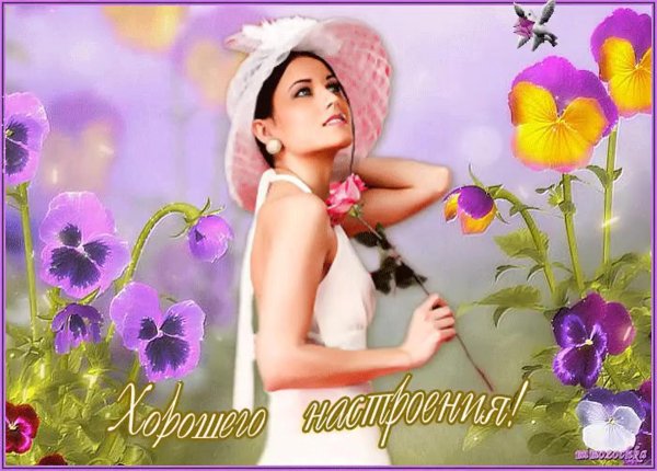 прекрасного настроения