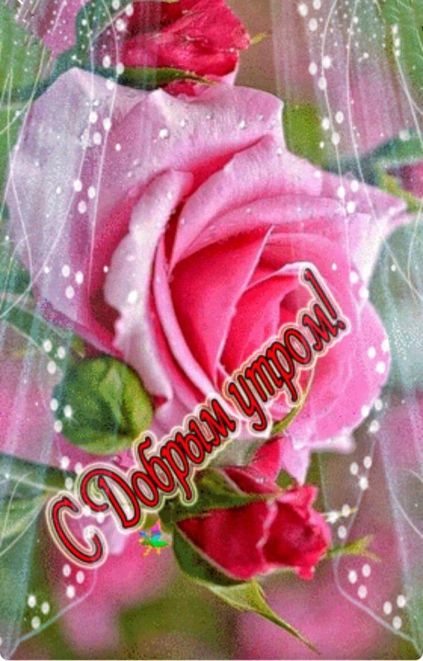 открытка доброе утро красивая