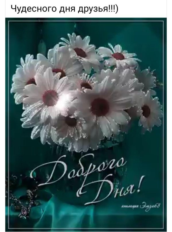 анимационные открытки добрый день