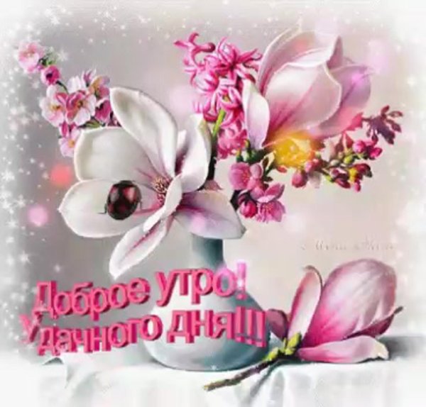 открытки чудесного дня