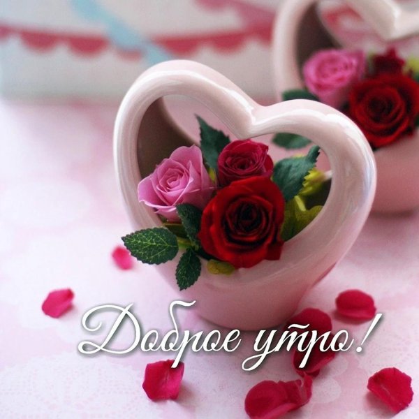 доброго утра любимая