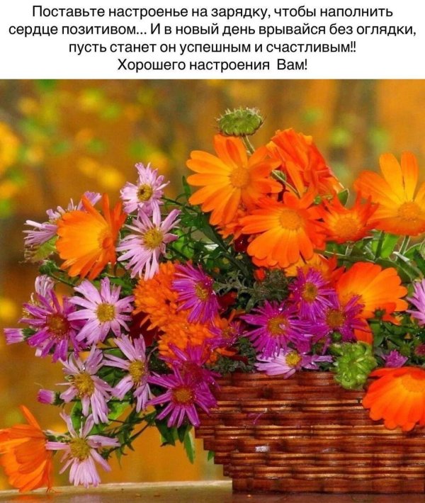 осеннее пожелание