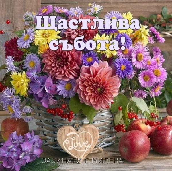 осенние цветы