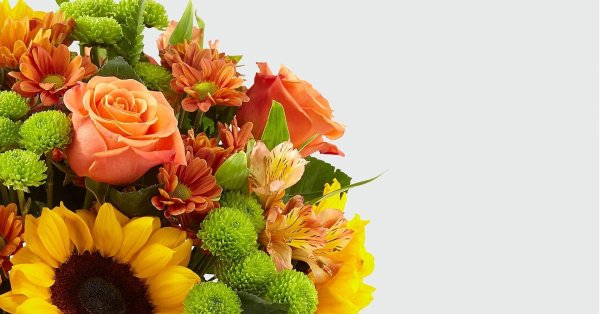 осенние цветы