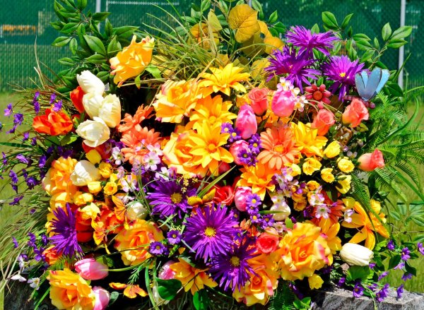 С цветами осень