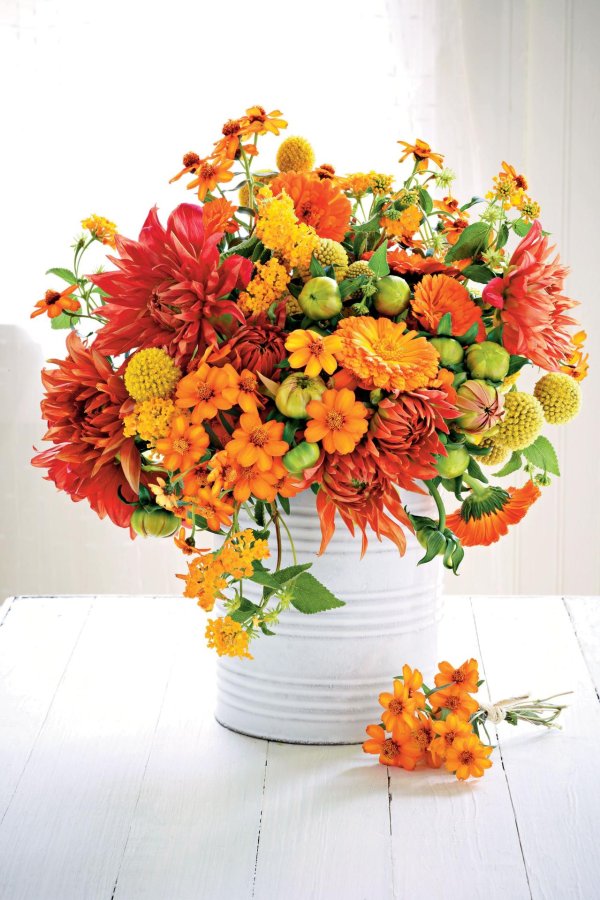 композиции с оранжевыми цветами