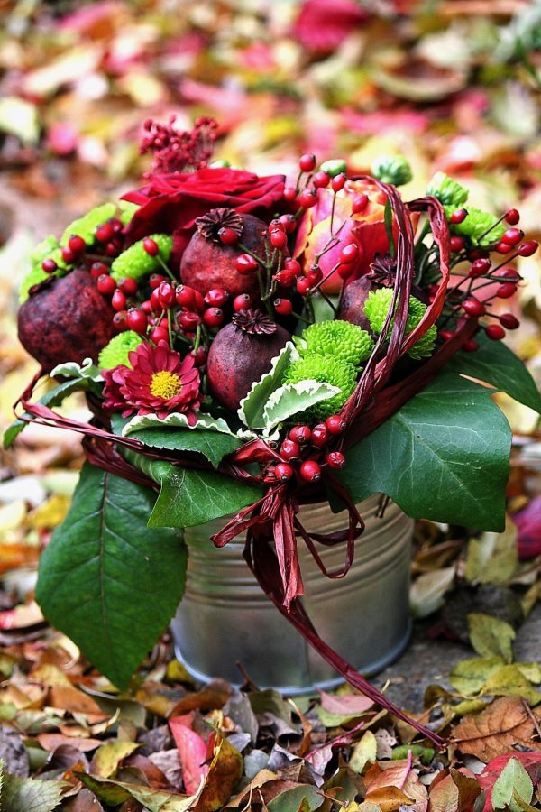 осенние растения