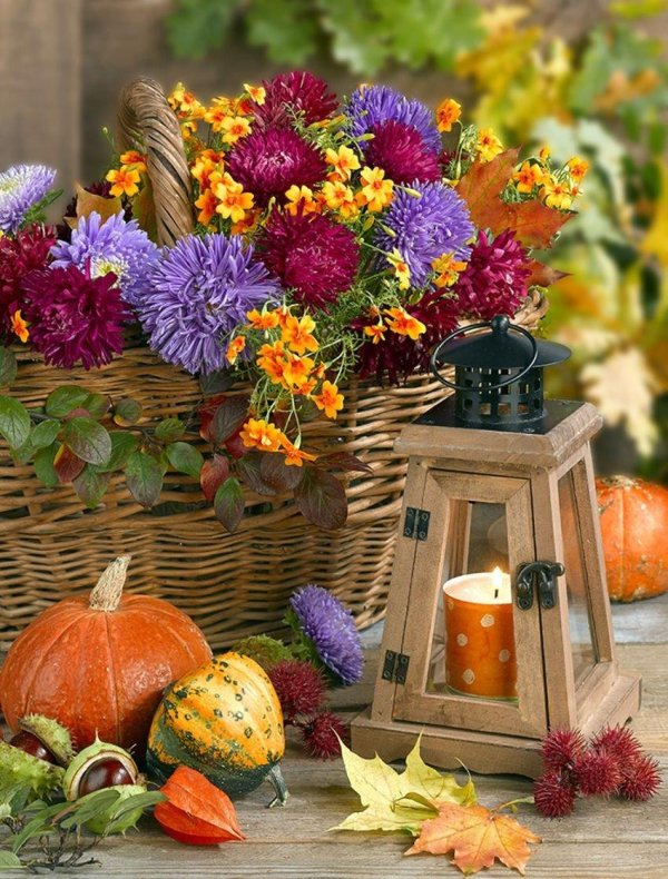 осенние цветы