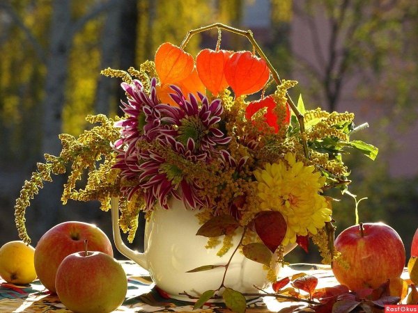 осенние натюрморты