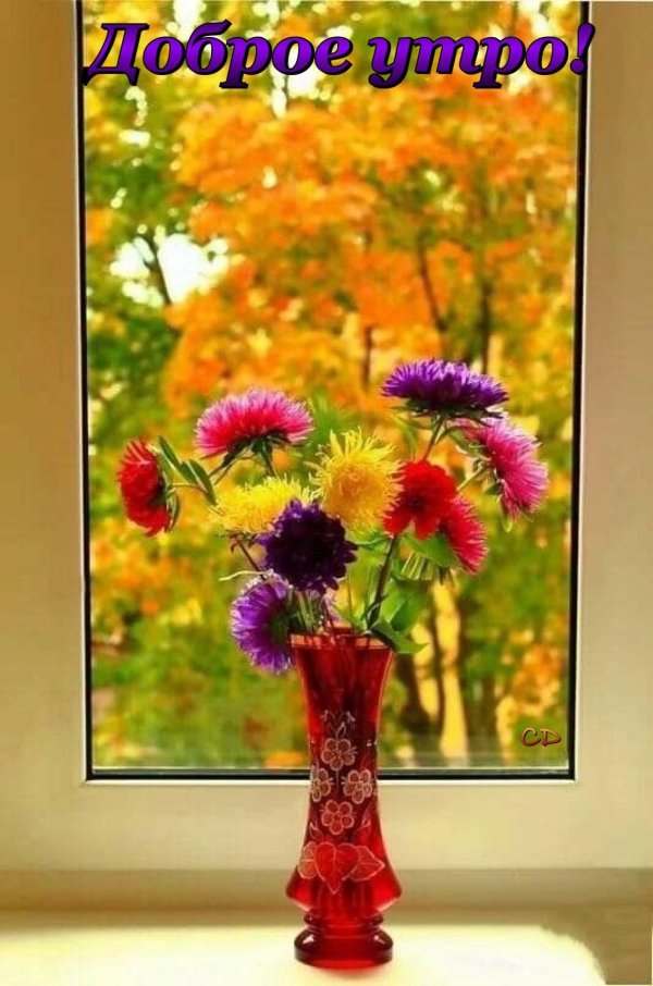 осенние цветы