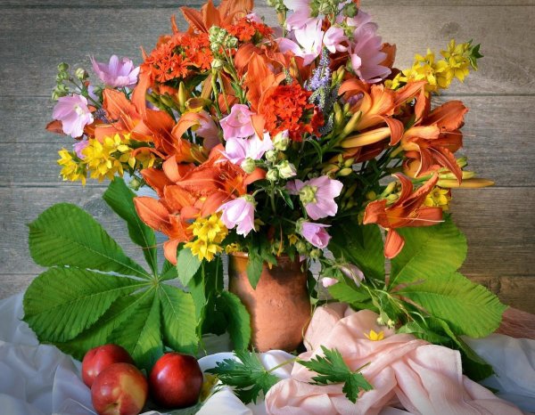 альстромерия араминта