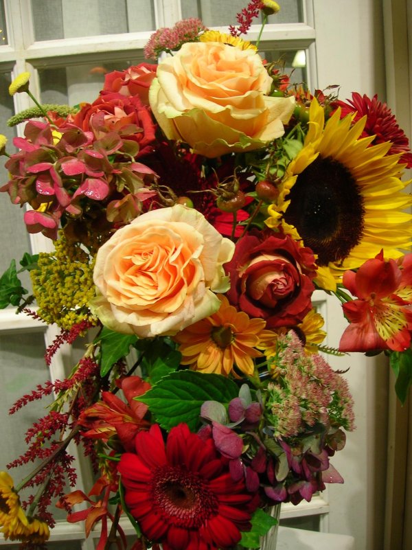 гербера фламенко