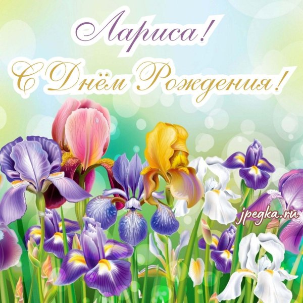 Девушка лариса