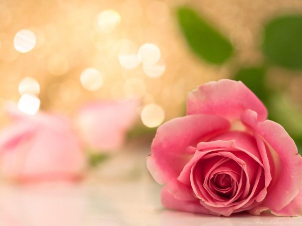 Девушка лариса