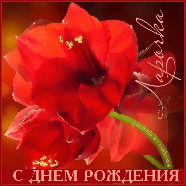 Девушка лариса